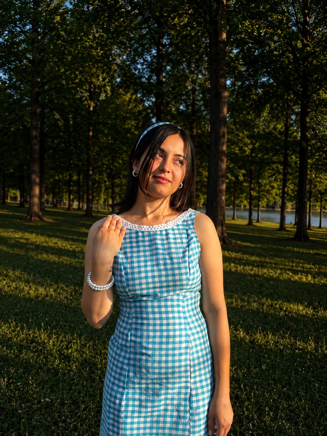 Blue Gingham Dress